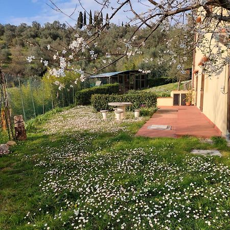 Appartement Dependance Nel Chianti A Pochi Minuti Da Firenze à Impruneta Extérieur photo