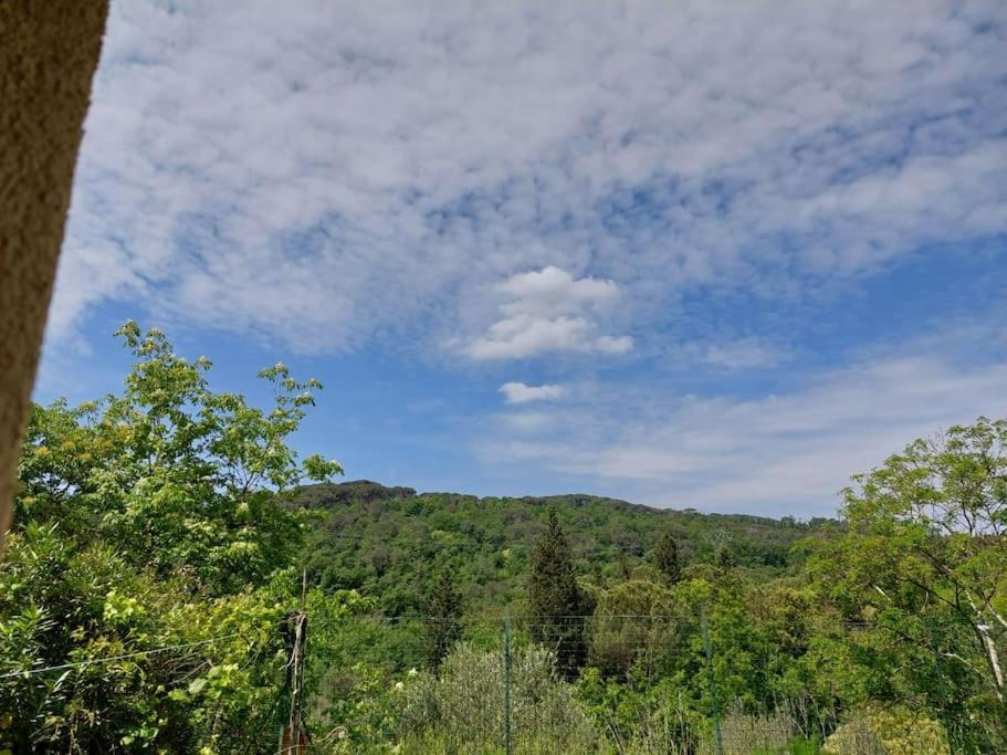 Appartement Dependance Nel Chianti A Pochi Minuti Da Firenze à Impruneta Extérieur photo