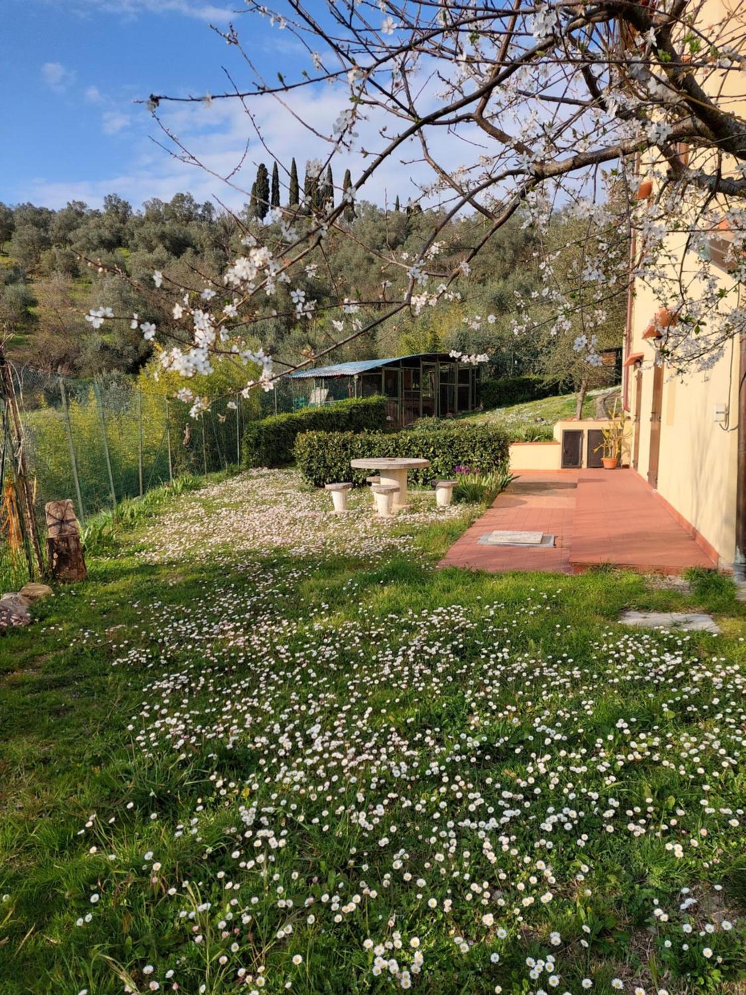 Appartement Dependance Nel Chianti A Pochi Minuti Da Firenze à Impruneta Extérieur photo